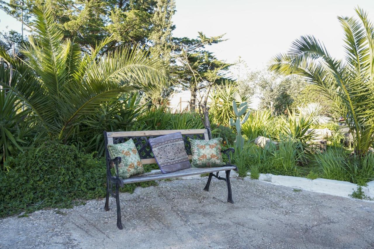 Appartamento La Casa Di Marta Faccia di Trippa di Monte Esterno foto