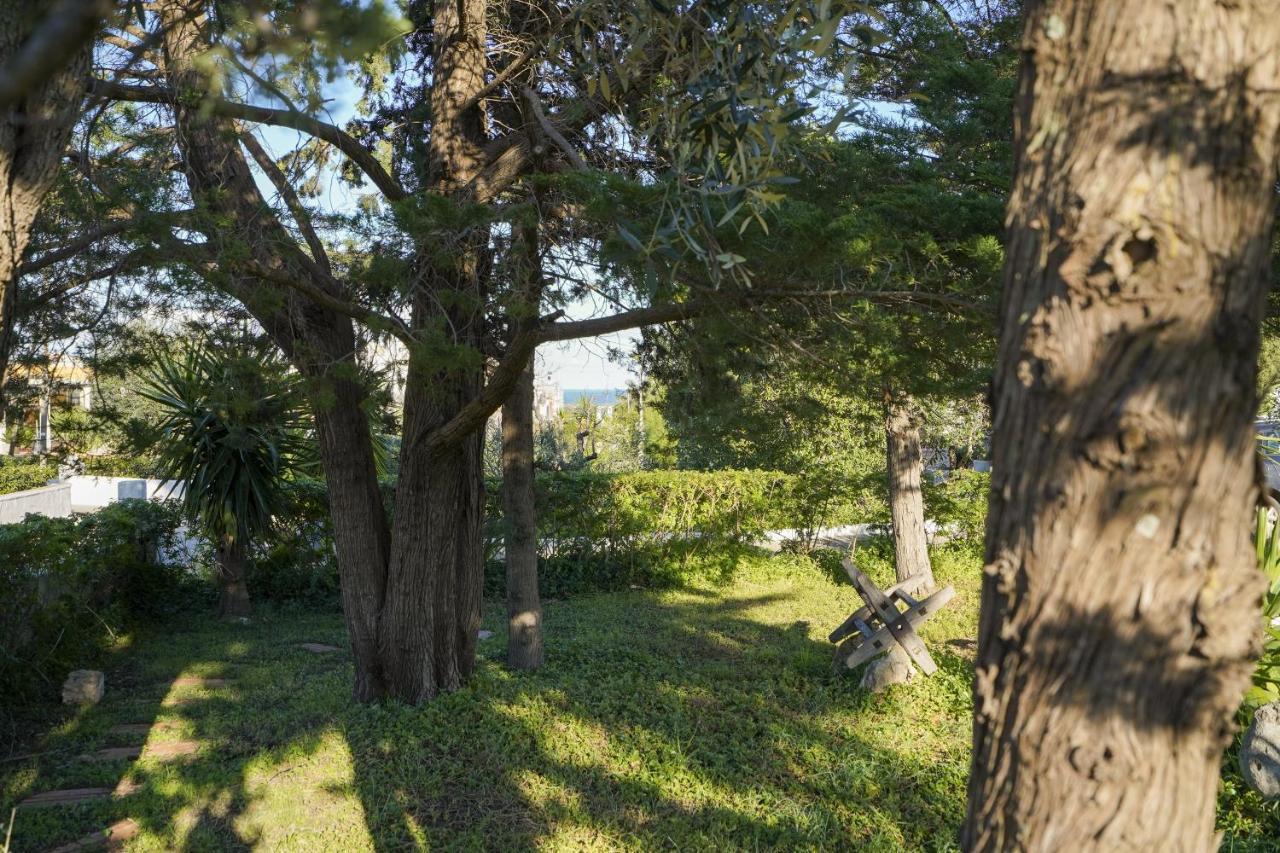 Appartamento La Casa Di Marta Faccia di Trippa di Monte Esterno foto